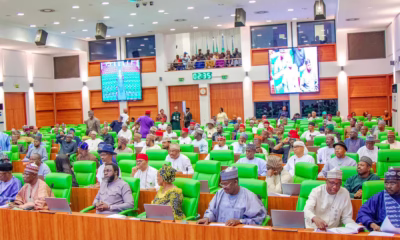 Reps panel summons 11 Discos over ₦2.6trn debt